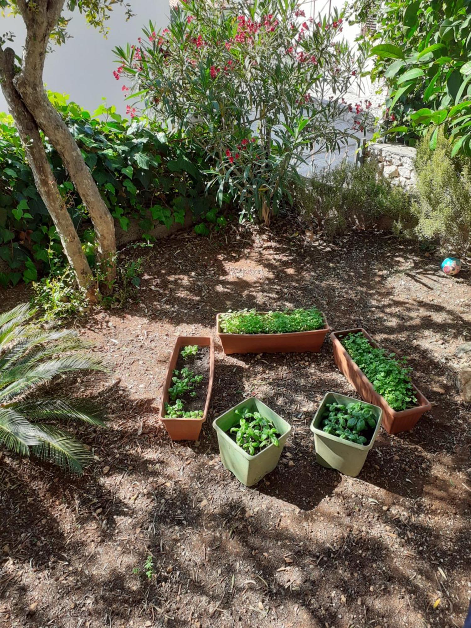 Apartman Gordana Trogir Eksteriør bilde